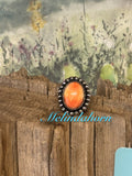 R79, orange spiny oyster ring