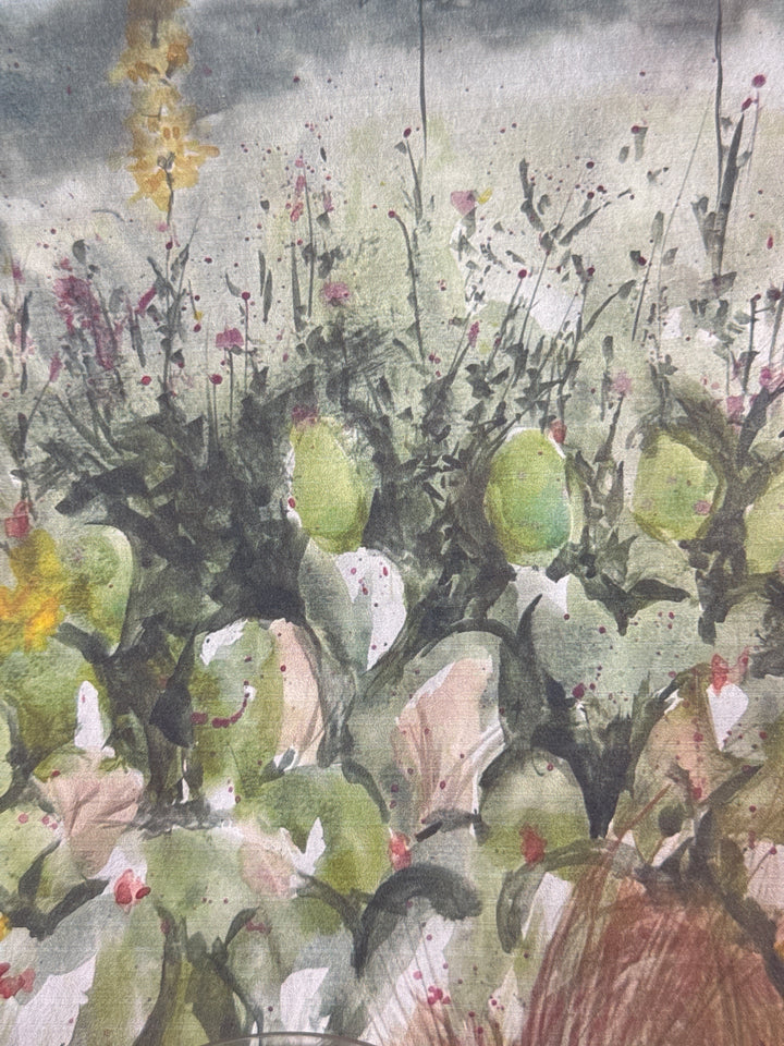 High Desert cactus collection