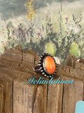 R79, orange spiny oyster ring