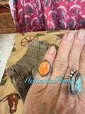 R26, Orange spiny ring