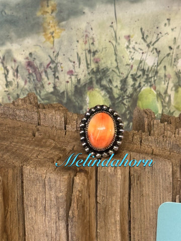 R79, orange spiny oyster ring